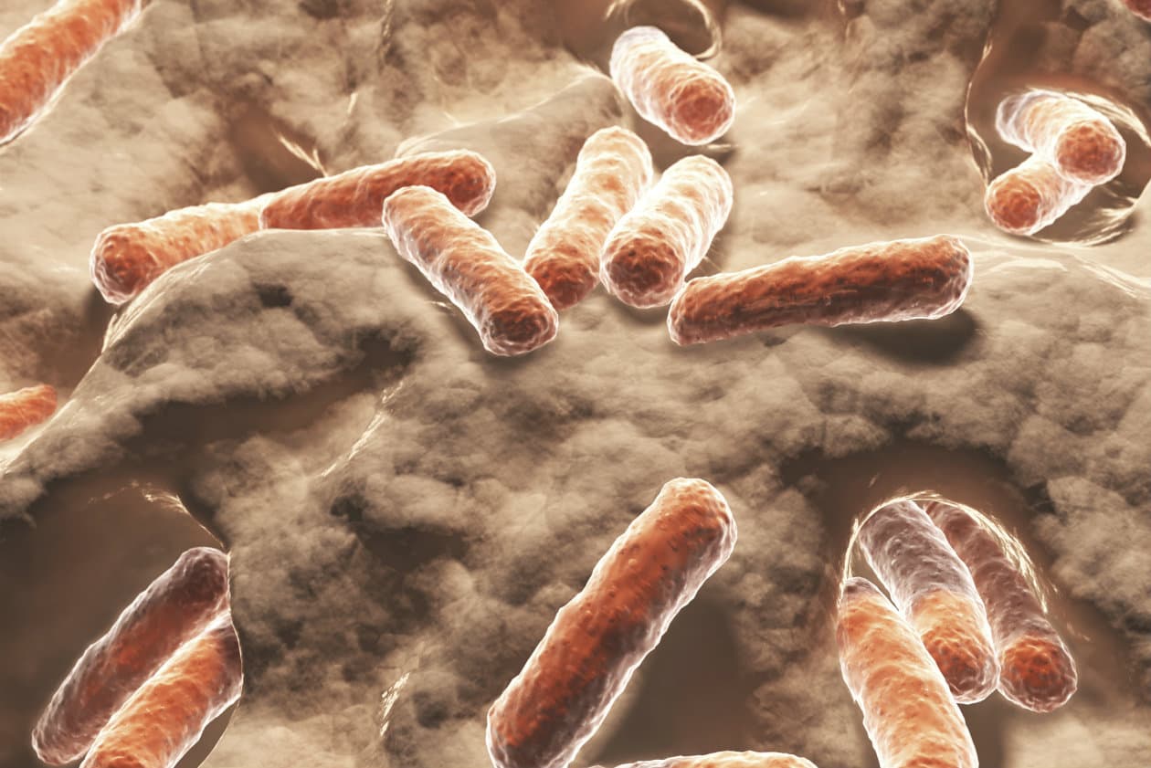 ¡Nuestro ombligo es peligroso para la salud!