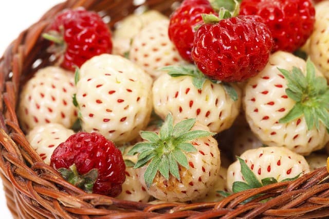 7 motivos para probar las FRUTILLAS BLANCAS