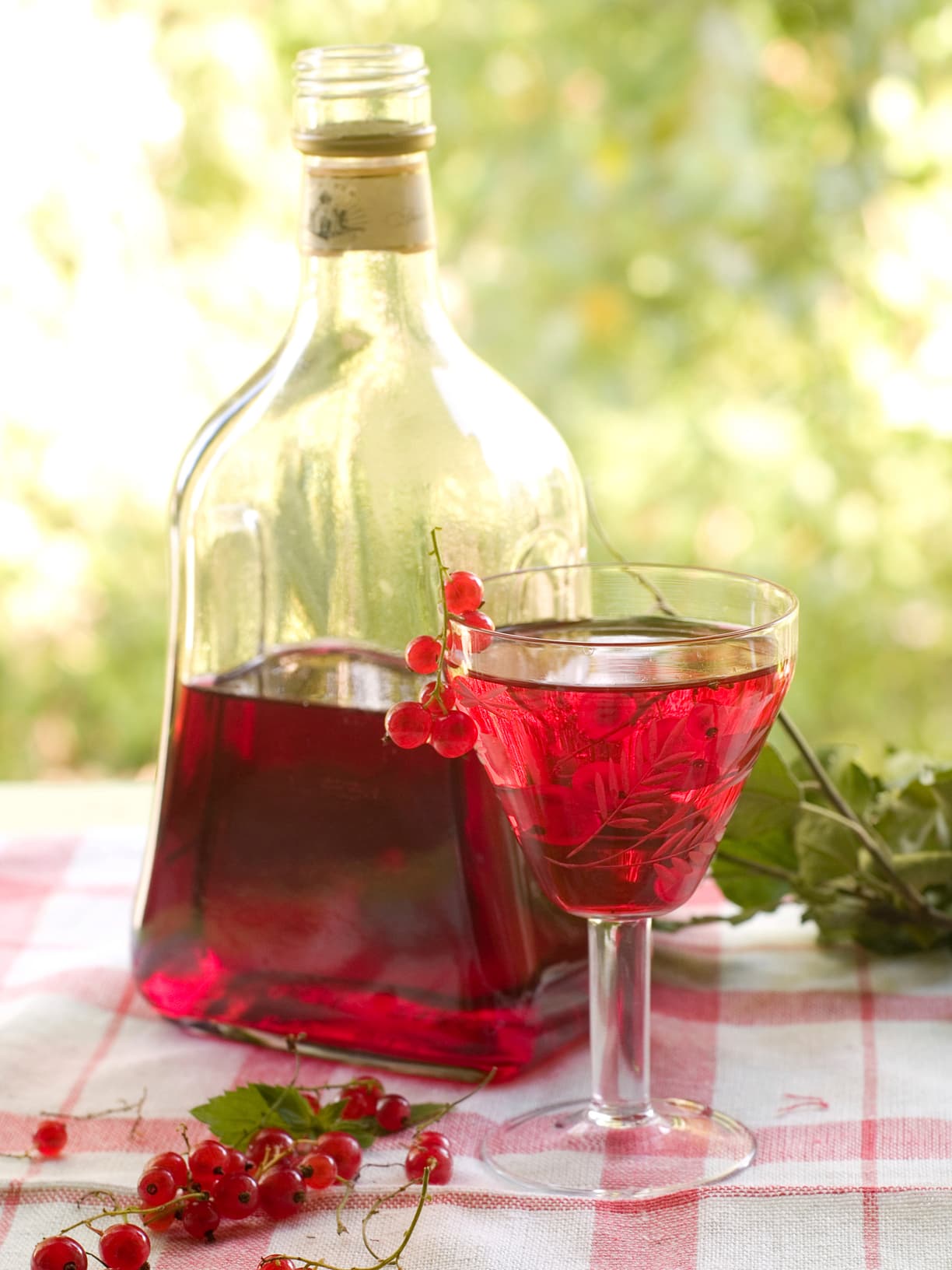 ¿Cómo hacer licor Crème de cassis?