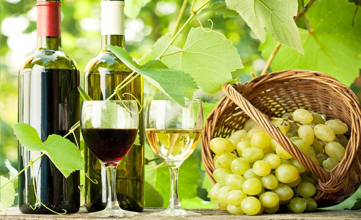 Regiones del vino en California: vinos de Mendocino