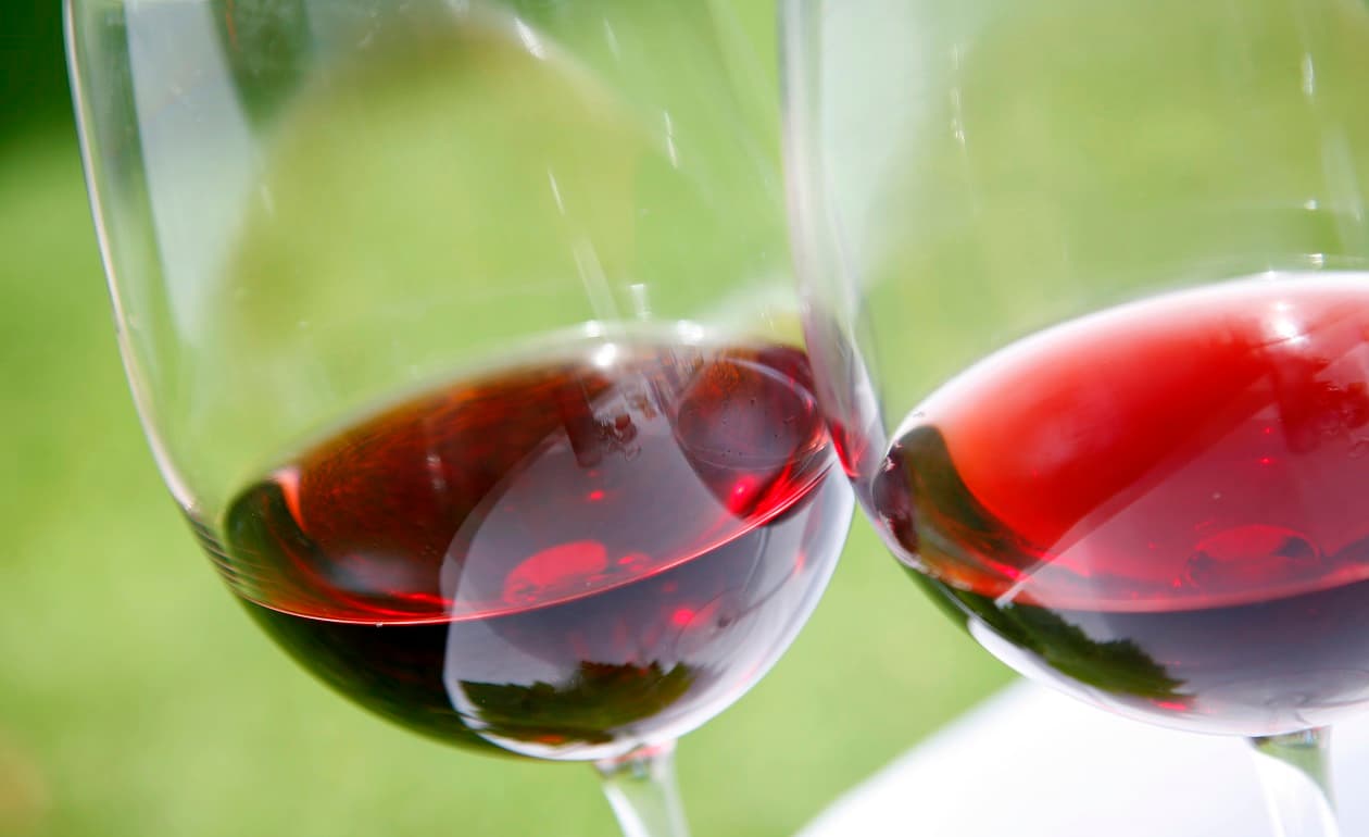 Vinos Zinfandel que debes probar