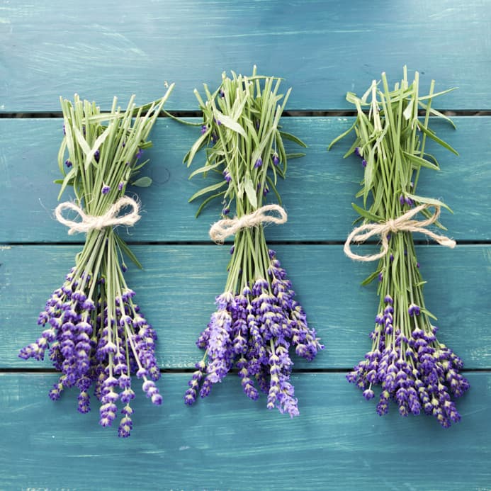 ¿Un mal corte de cabello? Reviértelo con estos aliados naturales