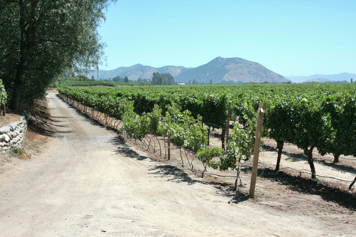 Conoce la bodega de vinos más antigua de Chile