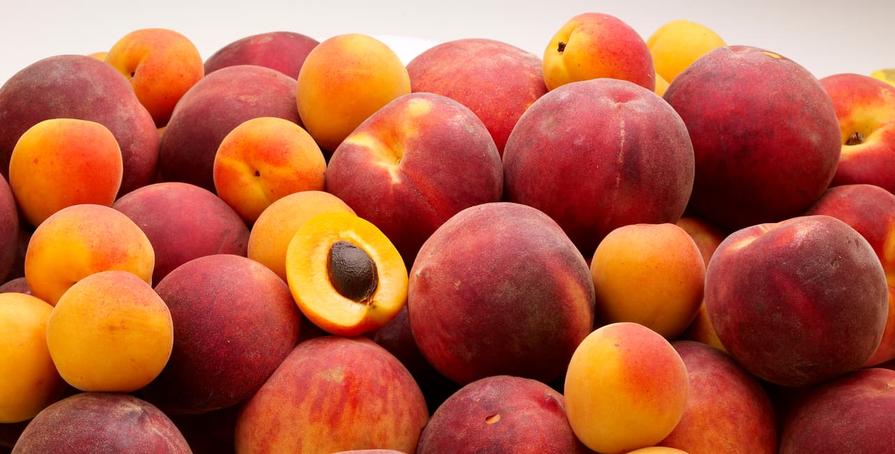 ¿Tu piel luce más vieja de lo que debería? 5 remedios naturales para REJUVENECERLA