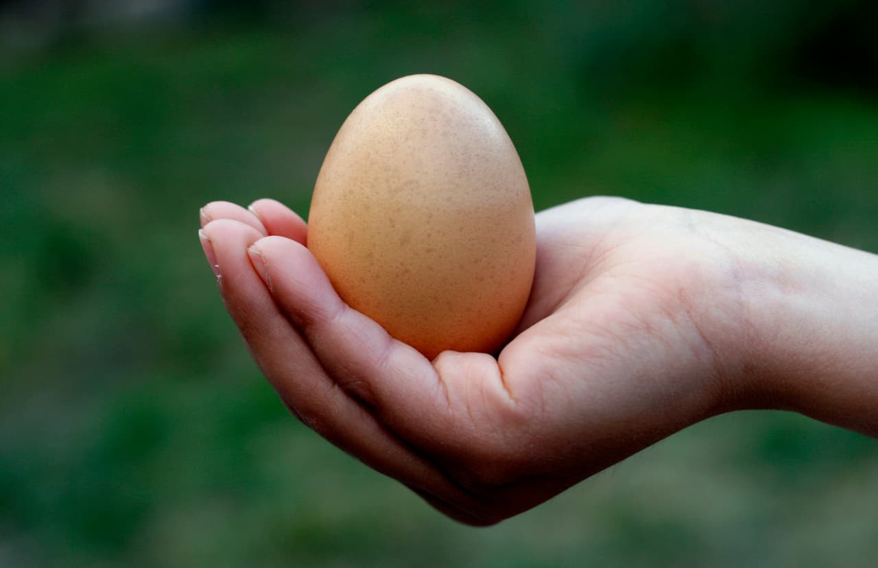 7 cosas importantes que debes saber sobre los huevos
