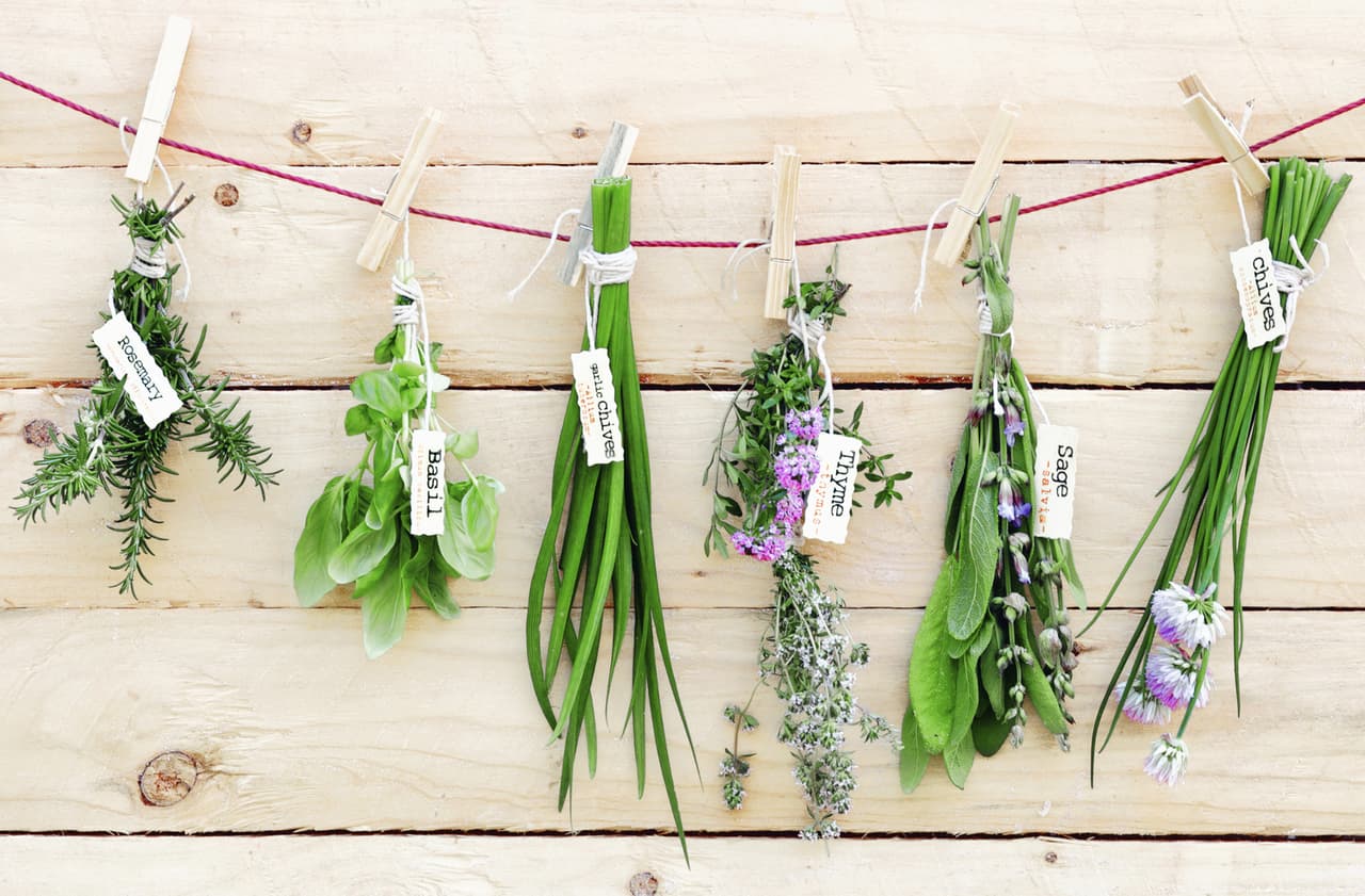 5 ideas para crear tu propio pesto