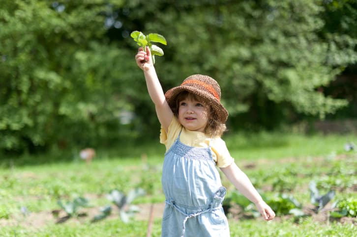 Formas creativas para que los niños coman frutas y vegetales