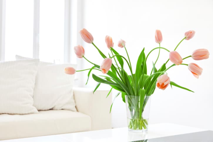 Decorar el hogar para los días de invierno