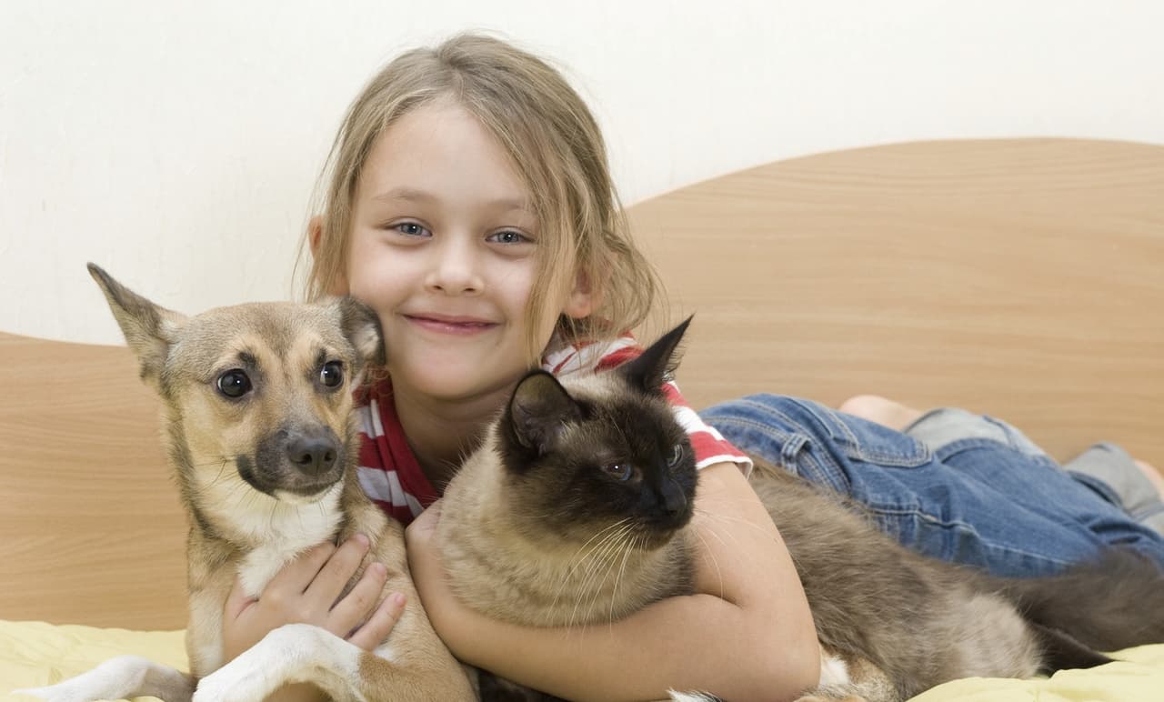 Enfermedades que los niños pueden contraer de las mascotas