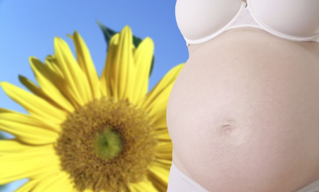 ¡Flor de nombre! Nombres de niñas basados en flores