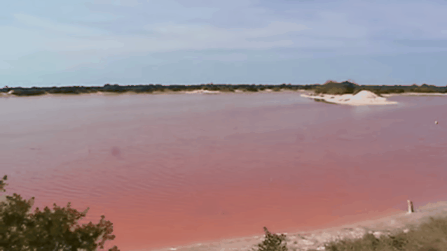 Hay dos lagos en el mundo con agua rosa, y son...