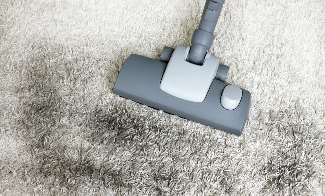 5 errores que cometes al limpiar las alfombras