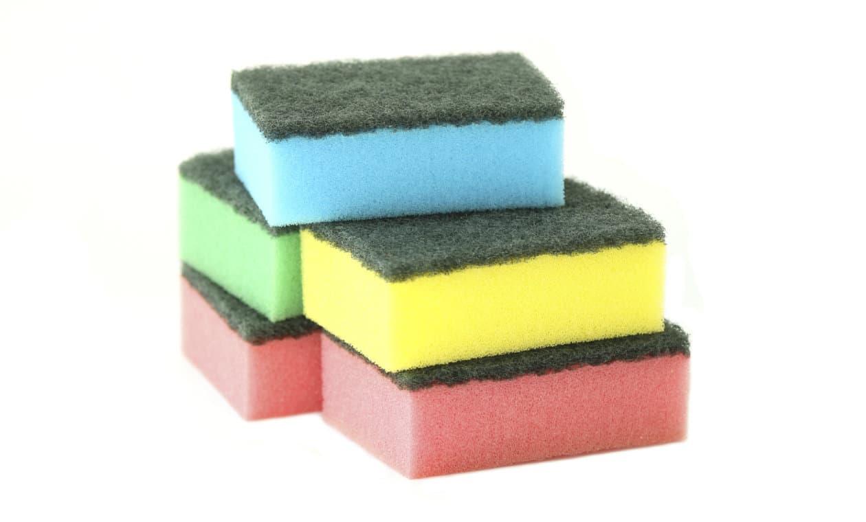 5 trucos para regar las plantas cuando no estás en casa