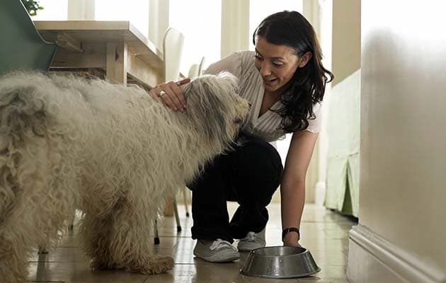 8 cosas que hace una dueña responsable de su perro