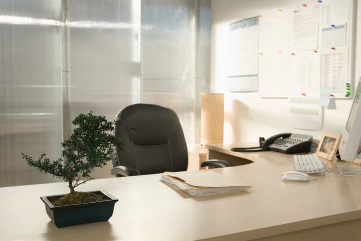 Convierte tu lugar de trabajo en un oasis de bienestar