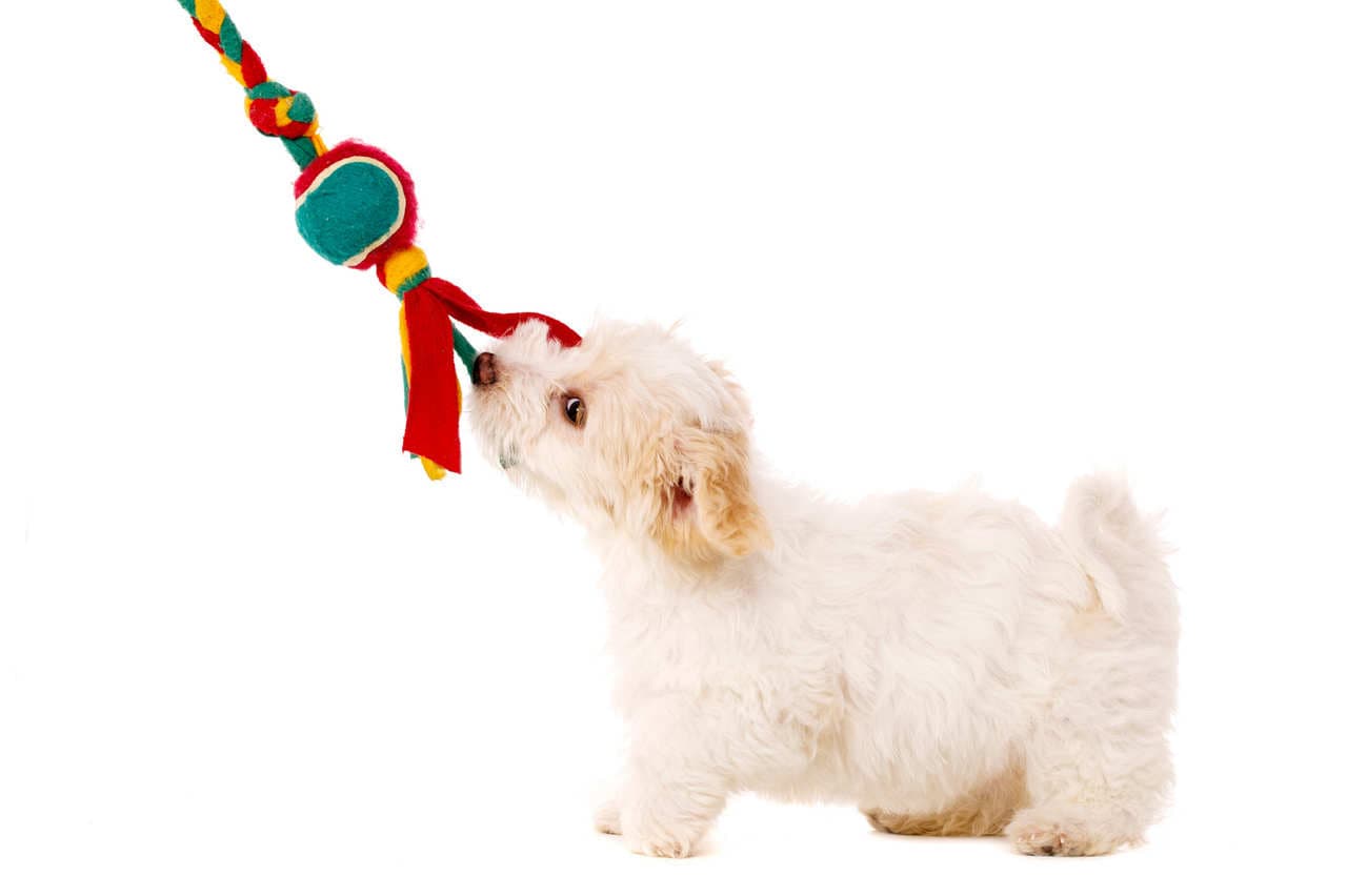 5 usos para tus viejas toallas y paños de cocina que no habías pensado