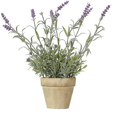 Decora tu sala al mejor estilo francés