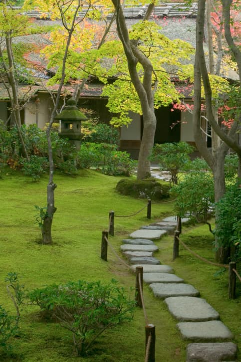 Jardines japoneses modernos