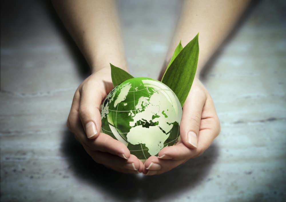 Sustentabilidad: un tema que nos concierne a todos