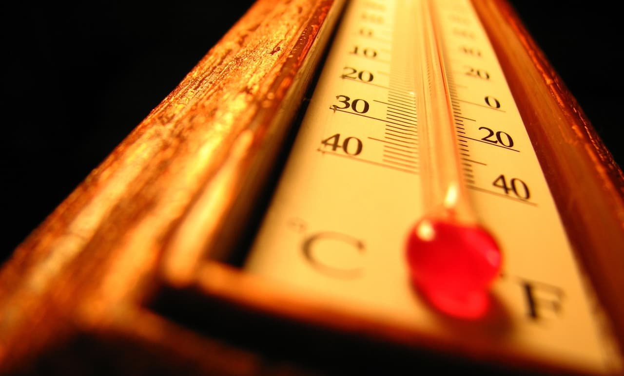 Calefacción Vs. Estufa a leña: ¿cuál gasta menos?