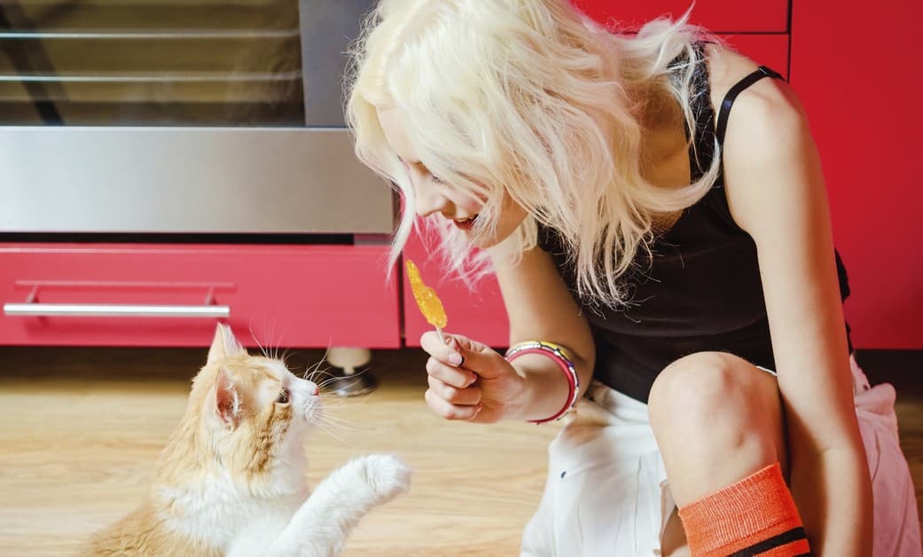 La ciencia asegura que los gatos son mucho más amigables de lo que creíamos