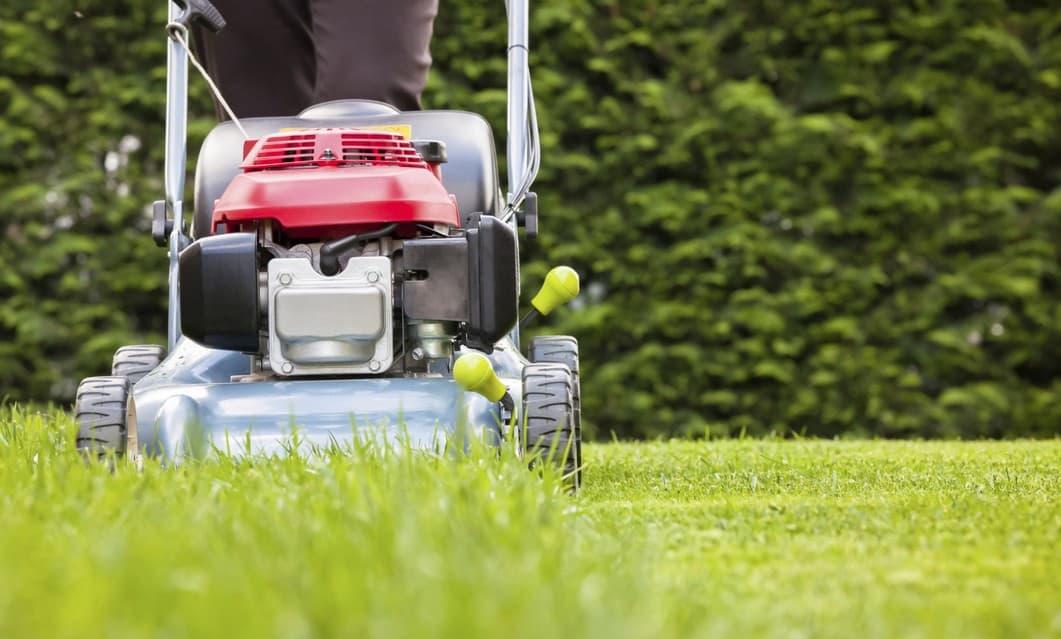 Cómo cuidar el césped en verano