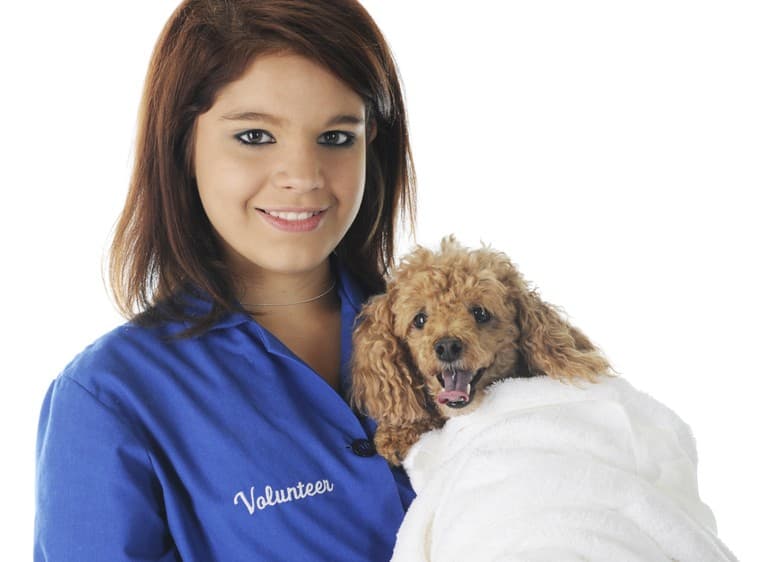 Cómo desparasitar a un perro