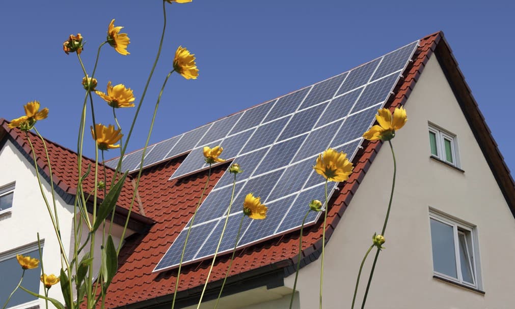 Cómo diseñar un hogar eco-friendly