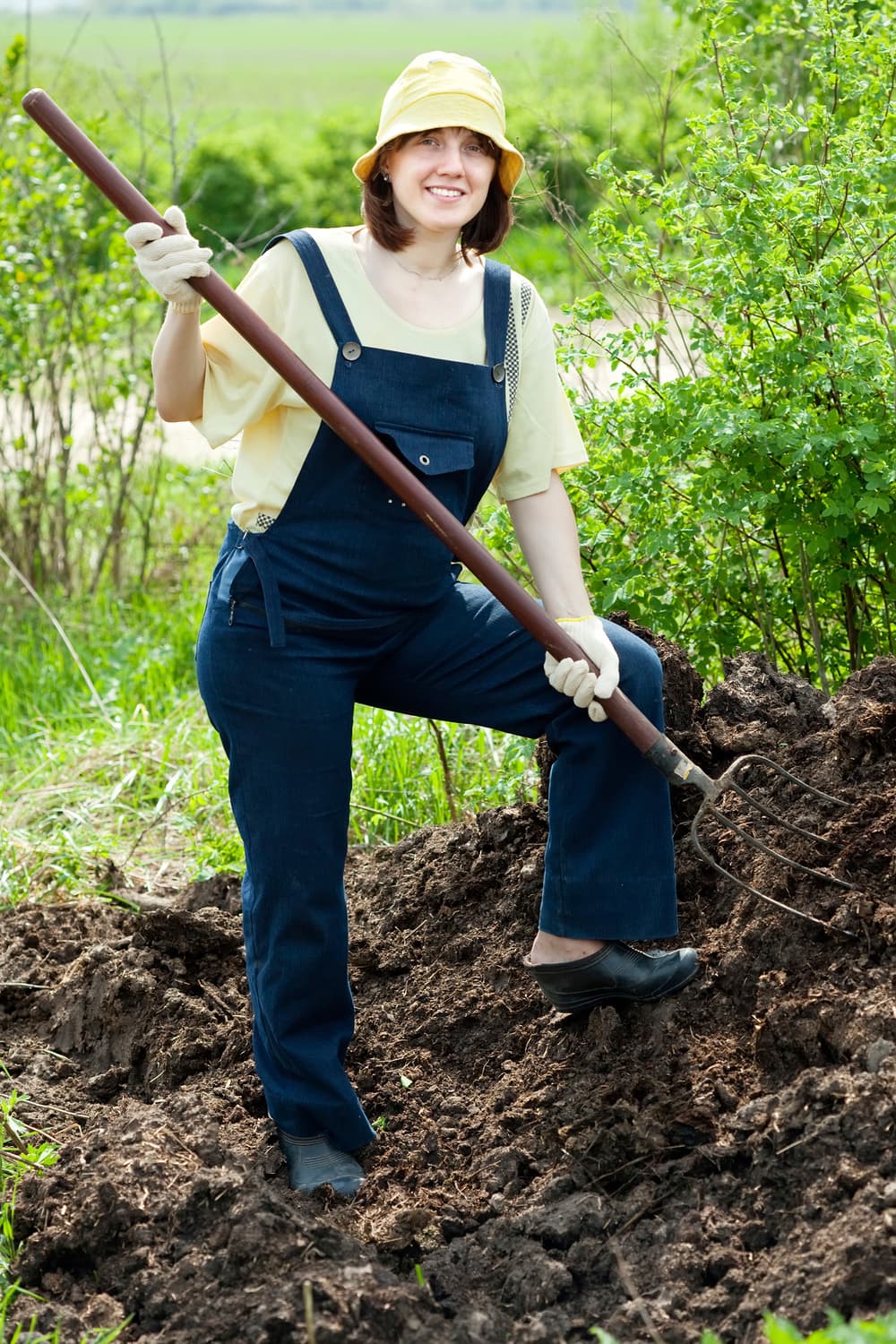Cómo hacer mantillo para plantas