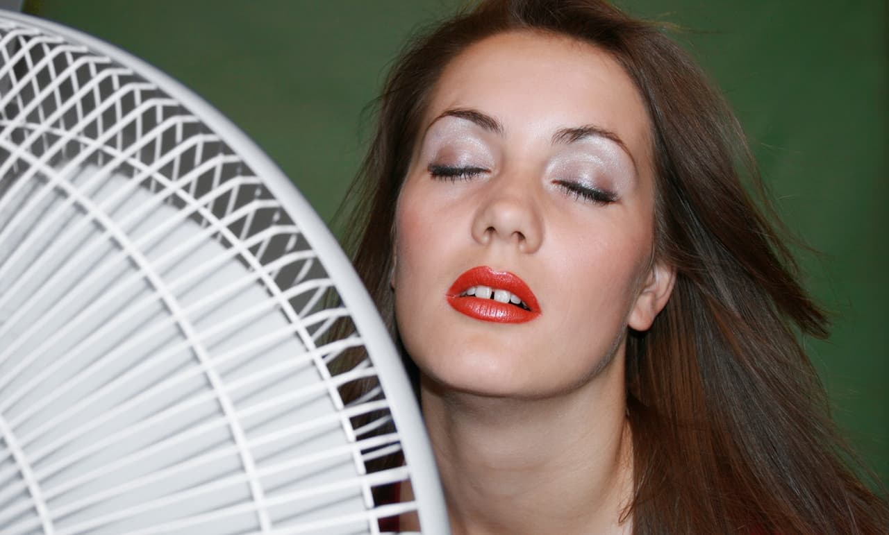 Cómo limpiar un ventilador de pie