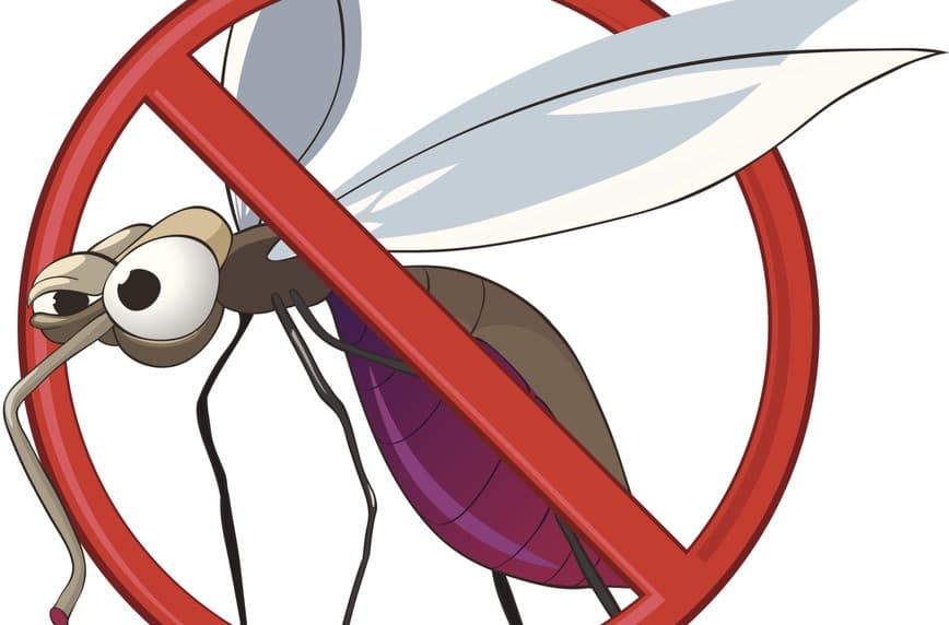 Consejos para prevenir el dengue en casa