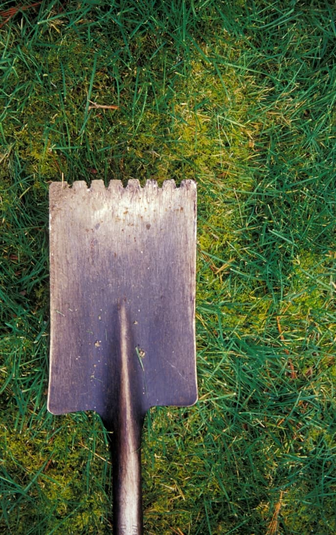 Herramientas básicas para las tareas de jardinería