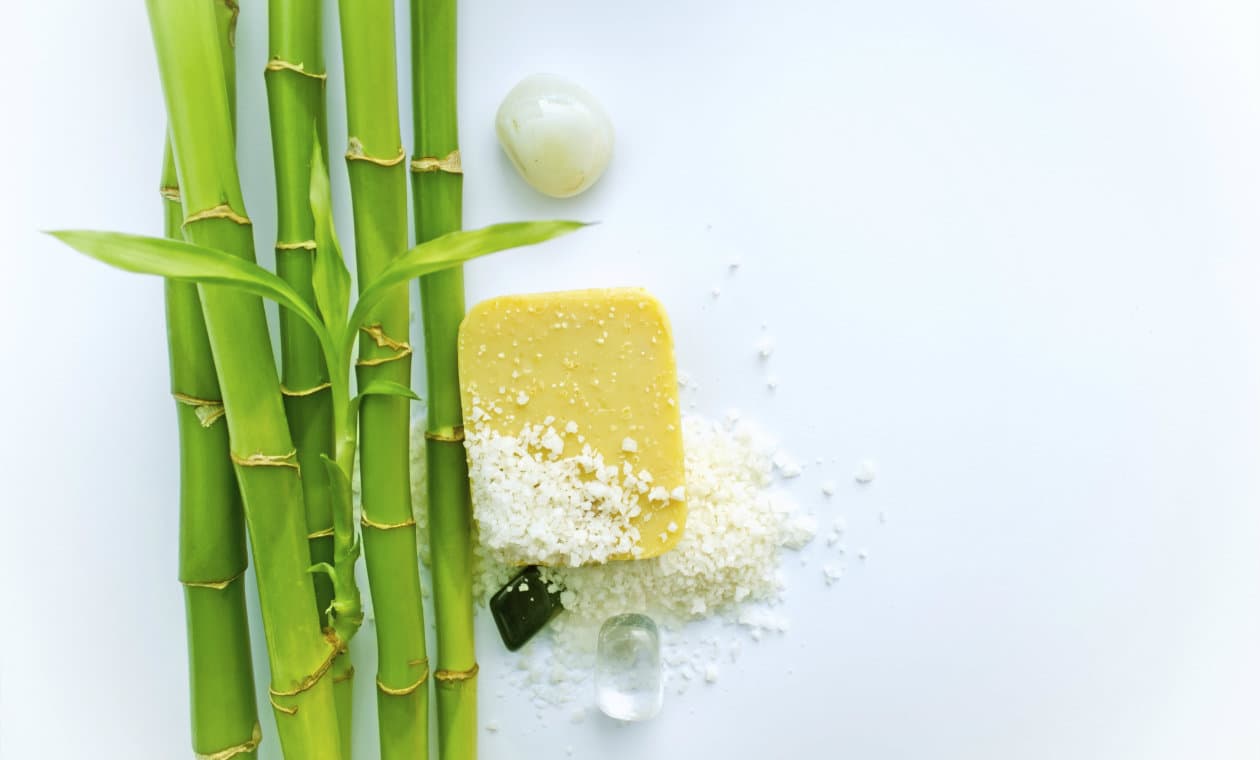 Las mejores plantas para el baño según el Feng Shui