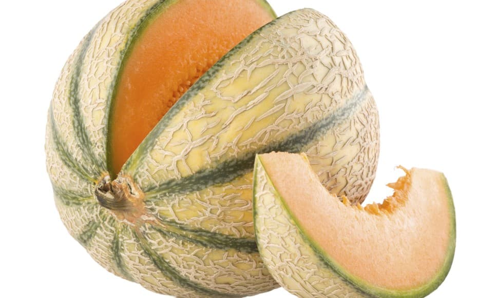 Los cuidados de la planta del melón