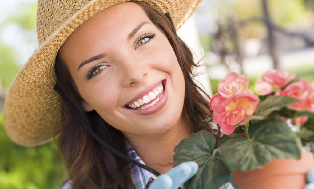 Cómo cuidar tus plantas de los insectos