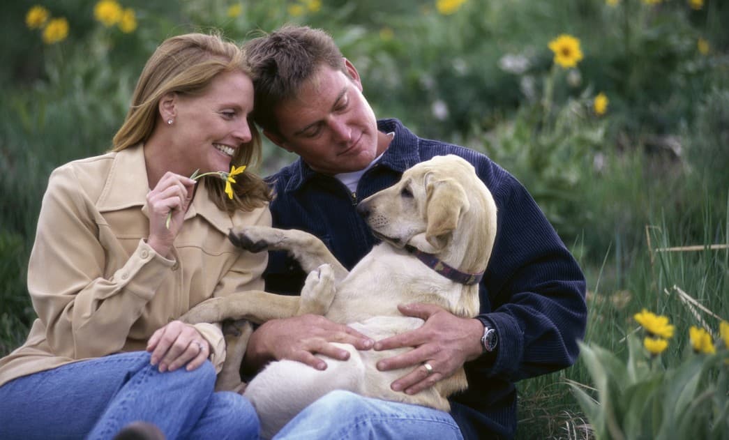 ¿Qué mascota elegir para el hogar, perro o gato?