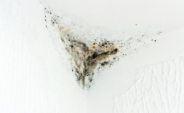 Todo lo que quieres saber sobre revestimientos antihumedad