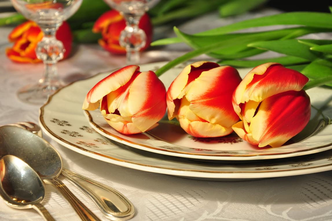 Ideas para una velada romántica