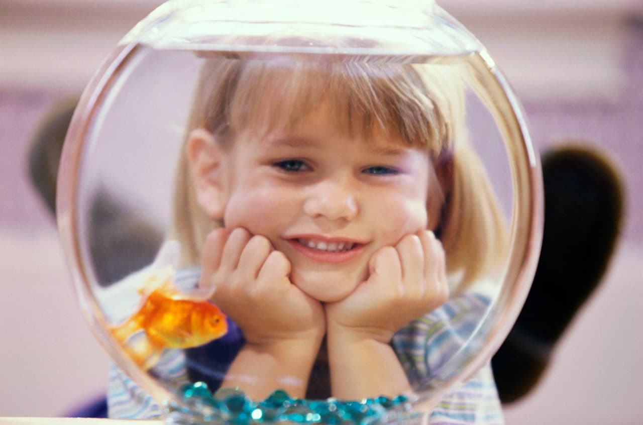 Las 5 mejores mascotas para los niños