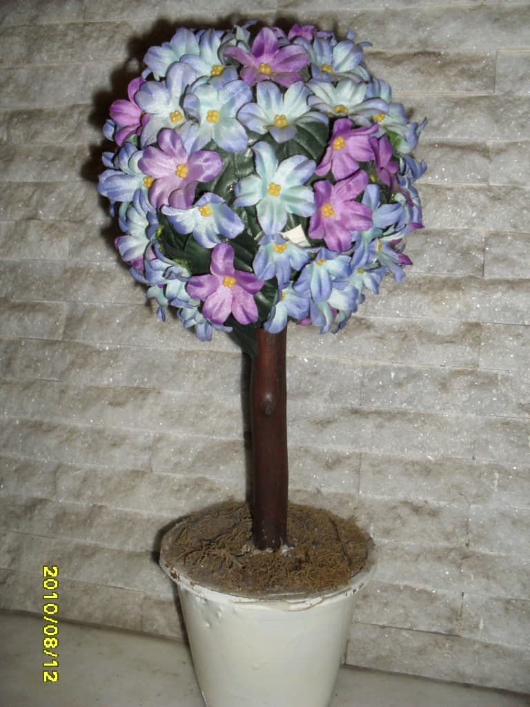 Topiario florido, enviado por Mirenchu