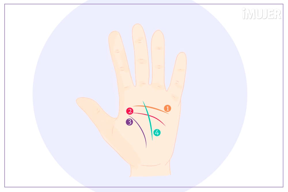Descubre qué dice tu línea del corazón acerca de tus relaciones amorosas