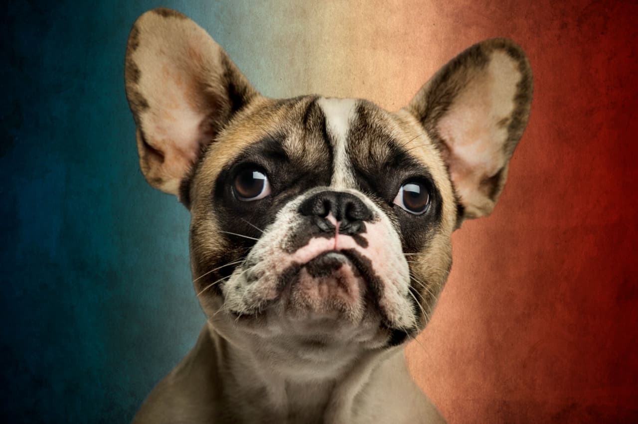 Regalos que le pedimos a Papá Noel: Expectativa VS Realidad