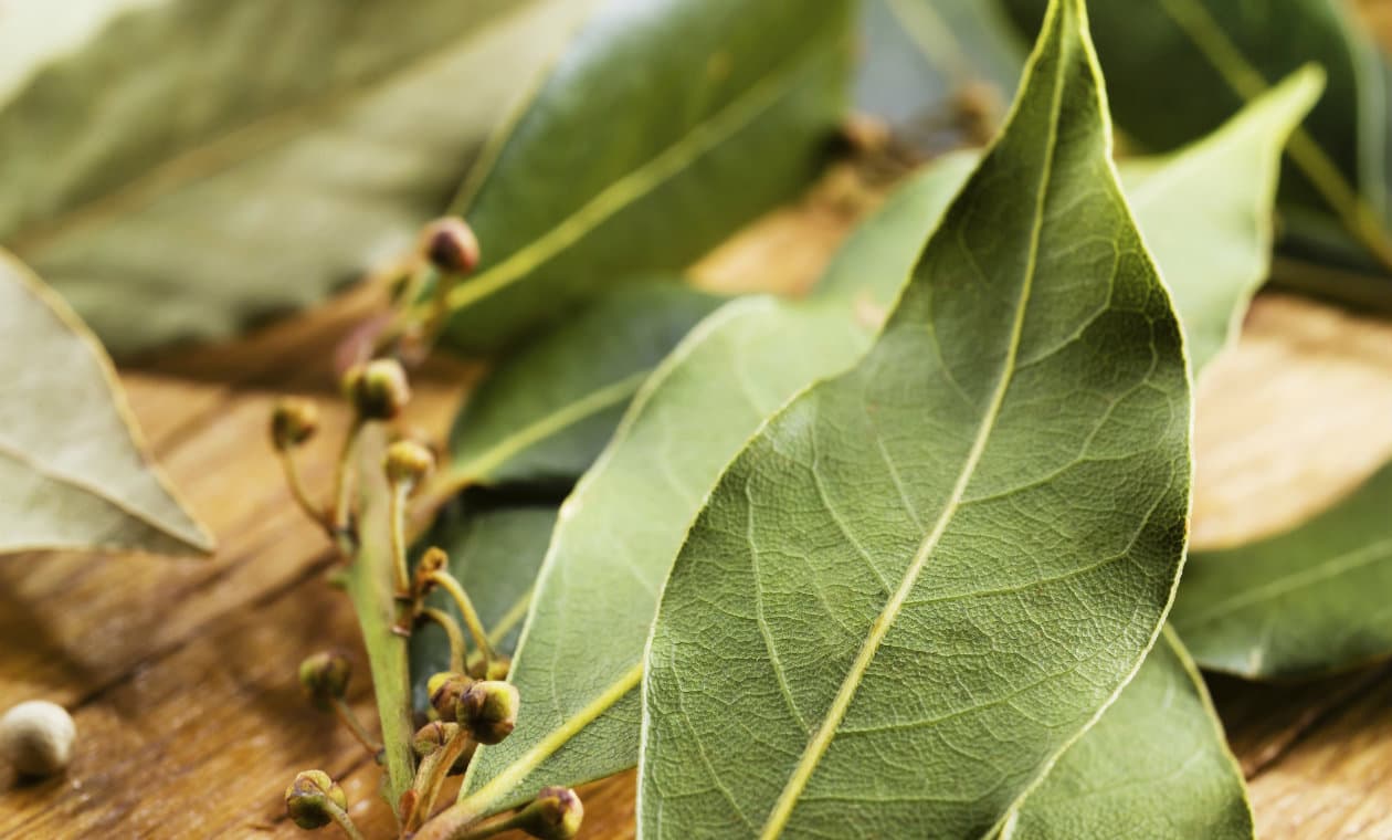 6 tradiciones de San Valentín alrededor del mundo