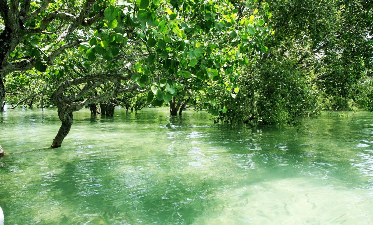 7 lugares exóticos del mundo para conocer