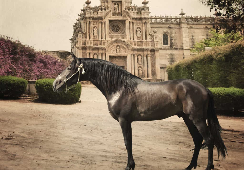 Los 6 lugares más hermosos para montar a caballo