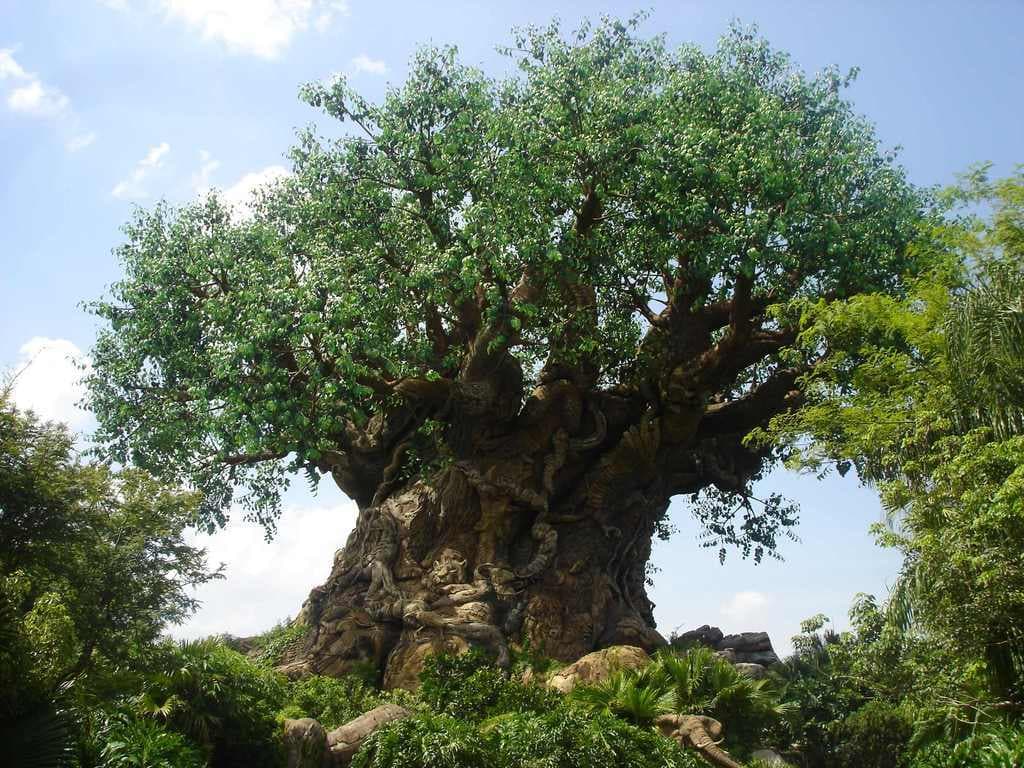 ¿Los árboles también pueden defecar y orinar?