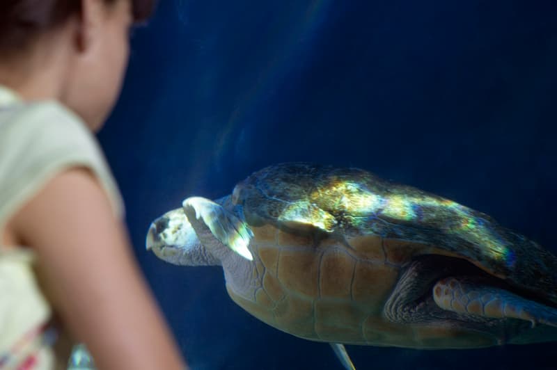 Lugares turísticos de Veracruz