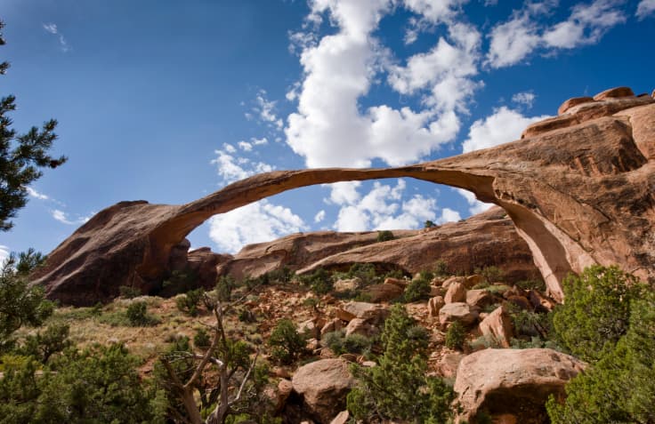 Arcos del mundo: totalmente naturales