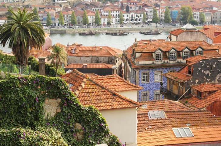 La ruta del vino de la Ribera del Duero.