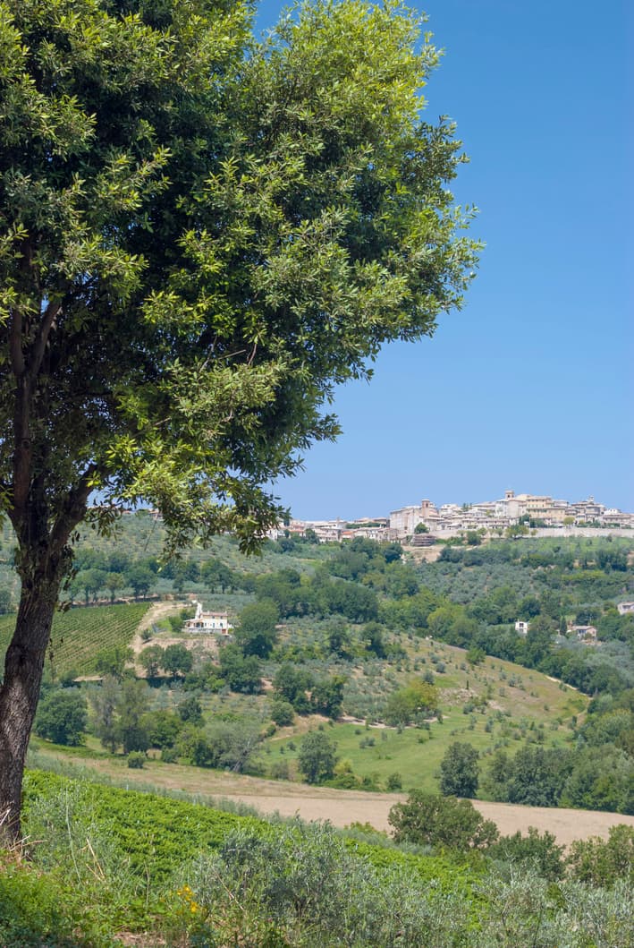 El Municipio italiano de Montefalco